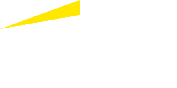 EY (Ernst & Young)